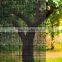 solar UV heat privacy house decorative window film