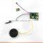 Custom push button pre-recorded sound chip for greeting card