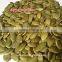 pumpkin kernels