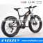 ebike fat bicicletas mountain bike electrical bicycle