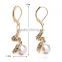 Fashion Earring Designs New Model Earrings 18k Gold Plated Austrian Crystal Dangle Double Pearl Earring