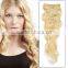 2015 wholesale cheap clip on human hair extension/top quality with low price