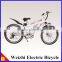 Weizhi Electric Bicycle