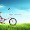 Lithium Electric Bicycle 200W-250W