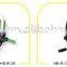 Garden Hose Reel