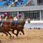 high quality prefabricated steel structure building for horse riding