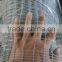 Thailand market hot selling bi-oriented 3/4" mesh 35gsm chicken net