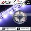 High luminous led strip 5mm with wholesale price led strip 335 side ip65 120leds/m
