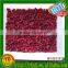 Frozen fruits IQF raspberry A grade
