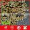 China product edible kernels