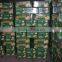 Fresh Ya Pear Fruit for Middle East Market