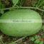 Hybrid f1 watermelon seeds-Beautiful exquisite