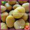 Organic Hot Sale Quick Frozen Chestnut Kernel