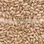 organic sunflower seeds organic sunflower seeds kernels