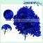 Forever Blue Preserved Natural Hydrangea with Good Price High Quality
