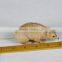 small miniature mouse mini toys for promotion