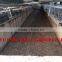 TAIYU Turnkey Project for Automatic Poultry Farm Design