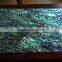 3.0mm thick paua shell laminate