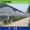 pvc plastic film for greenhouse