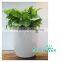 Large strawberry planter