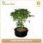 Durable High Quality Felt Root Tree Planting Bag Supplier,nursery Grow Bag