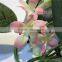 Home garden decoration 32cm long pink bride vine artificial wedding flowers EXLHT03 0402