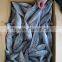land frozen horse mackerel frozen 20cm +