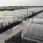 Hot sale film covering tunnel strawberry greenhouse