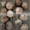 2016 best-seller the natural green organic solo blackgarlic from china--HC Company