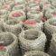 Anti-corrosion Barbed Wire Reel Single Coils