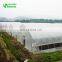 Agriculture Hoop Multi-span Greenhouse Covered By Plastic Film