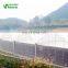 Low Cost Hot-Selling Agricultural Plastic  Greenhouse