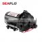 SEAFLO 24V DC 19LPM 60PSI Surface Solar Powered Water Pump For Agriculture Irrigation