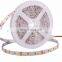 CCT color changing light emitting 4000k led 50 50 smd led addressable white led strip adjustable led lights