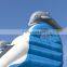 Commercial Inflatable Blue Dolphin Bouncer Slides For Children