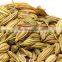 Frist Quality Organic Fennel Seeds At Your Door Step