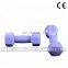 China factory price colorful fitness accessories dumbbell for sale