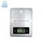 Sample Manual Food Balance Kitchen Weighing Scale Digital Weight Grams Kitchen Food Weighing Scale
