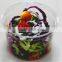 16oz Clear PET plastic deli container with lid,disposable salad bowl,clear PET food case, DC16S