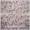 Nylon stretch sequin fabric