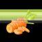 Factory Supply Natural Carrot Powder With Best Price From Viet Nam