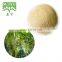 Lichen Extract Usnea Barbata Extract Usnic Acid 98%