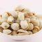 Pistachios Roasted with and without Shell  rafsanjan pistachio turkish pistachio pista