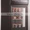 110v60hz mini glass door display ice cream vertical upright freezer
