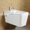 Wash Down P Trap Ceramic Wall Mounted Water Closet AT628A