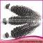 100% human hair braiding hair pure brazilian bouncy curl human hair weaving