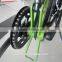 250W Electric Mountain Bike with Hidden Battery