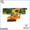 factory price TFT LCD 2.9 inch 320*120 bar type tft lcd
