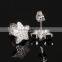 World Best Selling Products Fashion Star Zirconia Earring