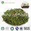 Dried tea leaves tea production tin box gift packing China flecha quality green tea